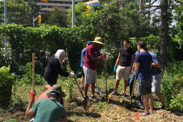 Fall Food Forest Planting Day