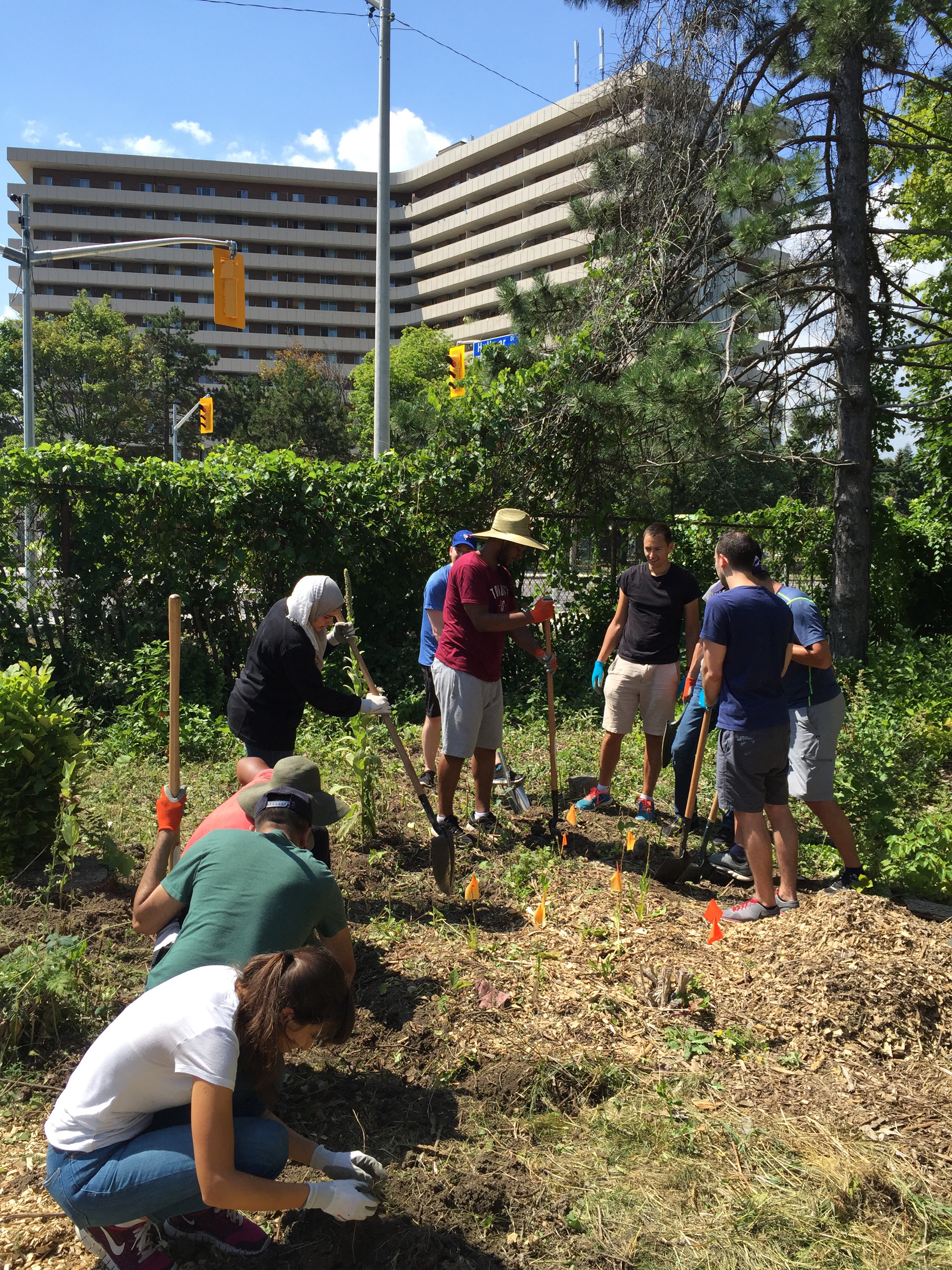 Fall Food Forest Planting Day