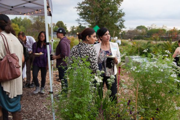 Dinner at the Farm- Black Creek Community Farm, Sep[tember 14, 2017