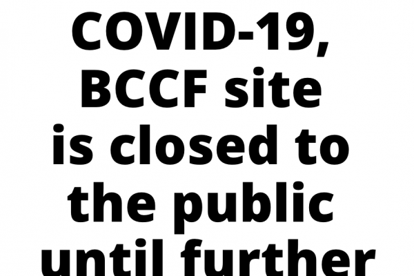 Due to COVID_19, BCCF is closed to the public until further notice. (you cannot enter farm grounds)