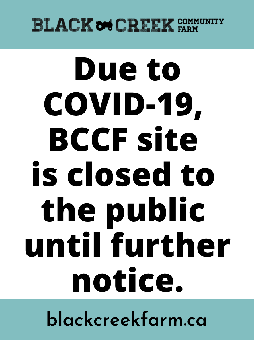 Due to COVID_19, BCCF is closed to the public until further notice. (you cannot enter farm grounds)