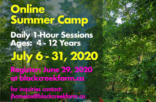 BCCF onlin summer camp registration image
