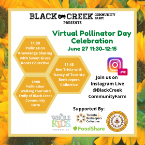 Happy Pollinator Day at the farm