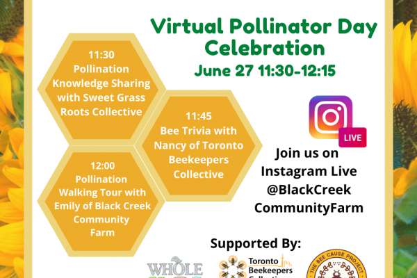 Pollinator Day at the farm, June 27th