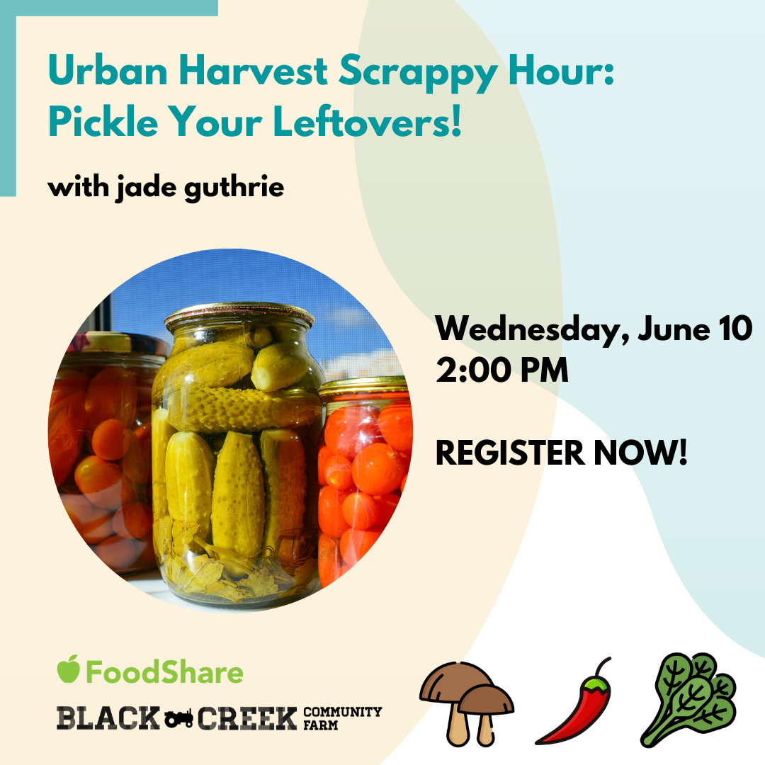 [Photo description: Title text reads : Urban Harvest Scrappy Hour: Pickle Your Leftovers! with jade from FoodShare. Image of various vegetables pickles in glass jars. Date: Wednesday, June 10, 2020. Register Now! - with Black Creek Community Farm logo, and image of cartoon vegetables next to it]