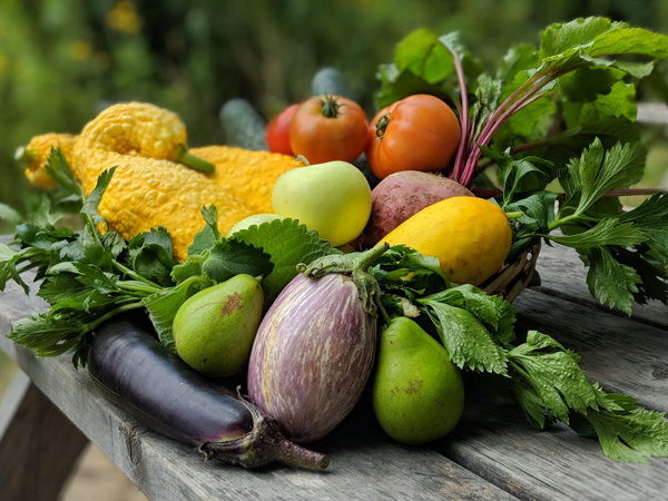 Farm Stand