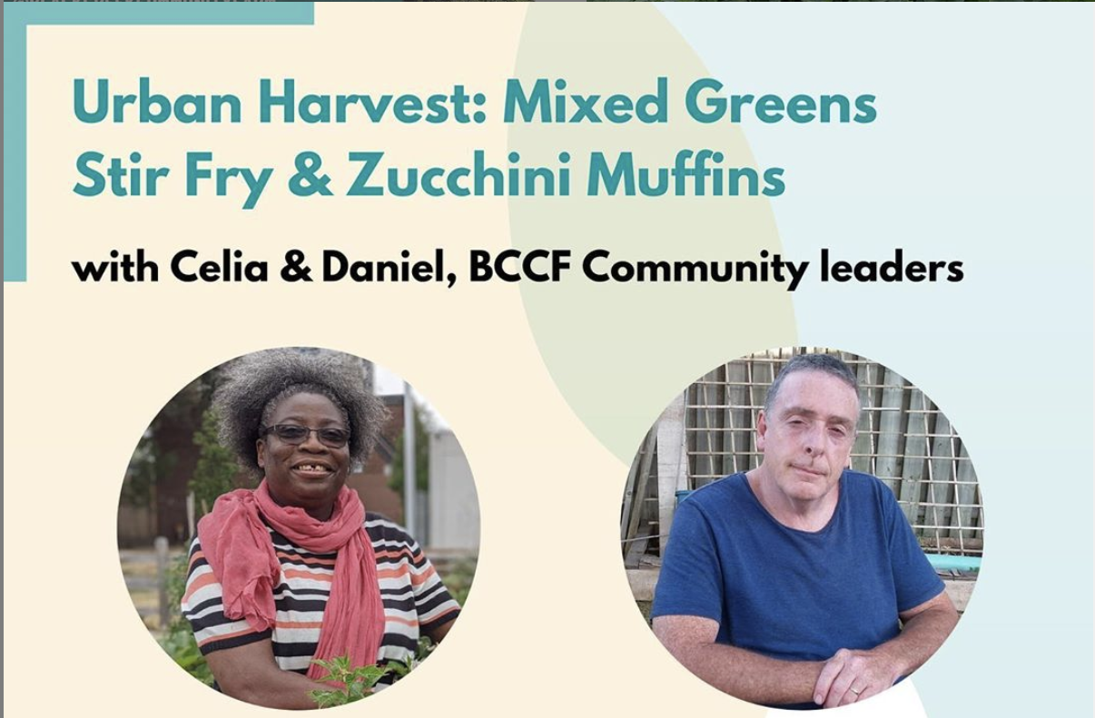 Title text reads : Urban Harvest: Mixed Greens Stir Fry & Zucchini Muffins with Celia & Daniel, BCCF Community leaders. Separate images of Celia & Daniel. Date: Wednesday, July 22, 2020.