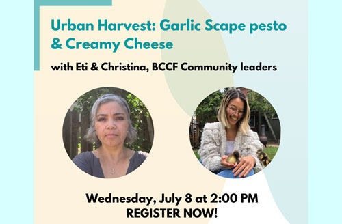 Title text reads: Urban Harvest: Garlic Scape pesto and Creamy Cheese with Eti and Christina, BCCF Community leaders. Separate images of Eti & Christina. Date: Wednesday, July 8, 2020. Register Now!