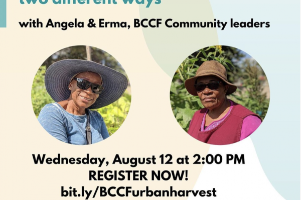 [Photo description: Title text reads : Urban Harvest: Quinoa Salad in two different ways with Angela & Erma, BCCF Community leaders. Separate images of Angela & Erma. Date: Wednesday, August 12, 2020. Register Now! - with Black Creek Community Farm logo, and image of cartoon vegetables next to it]