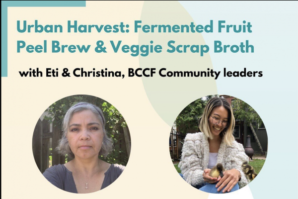 Urban Harvest Eti and Christina: Fermented Fruit Peel Brew and Veggie Scrap Broth