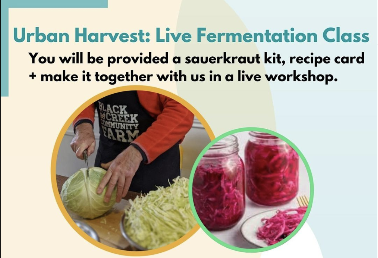 Live fermentation Urban Harvest workshop