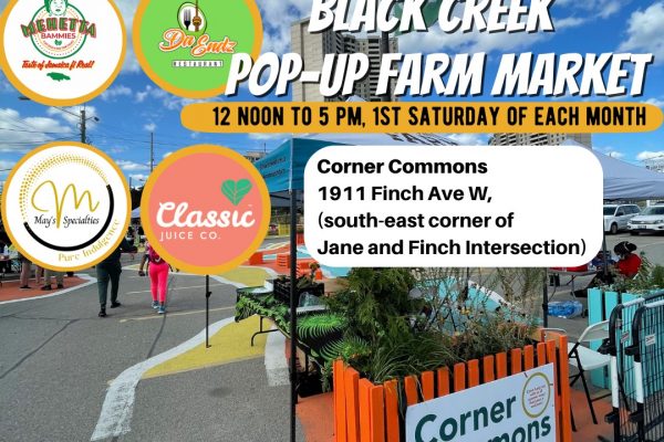 BCCF POP-UP MARKET